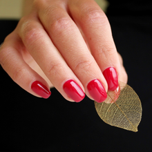 Charger l'image dans la galerie, 211 Wild at Heart 4.5G
DESCRIPTION
Deep berry red
Colour Catalogue Product Guide 
Please refer to your colour sticks for the closest reflection of colour. 
 Ingredient Listing & M