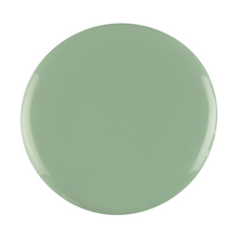 Load image into Gallery viewer, 100  Pistachio  4.5G
DESCRIPTION
Light pastel green
Colour Catalogue 
 Product Guide 
Please refer to your colour sticks for the closest reflection of colour. 
Ingredient Listing &amp