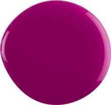 Load image into Gallery viewer, 125 Evo Colour Punam