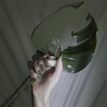 Charger l'image dans la galerie, 225 Hazy Forest 4.5G
DESCRIPTION
Tranquil garden green
Colour Catalogue Product Guide 
Please refer to your colour sticks for the closest reflection of colour. 
 Ingredient Listing