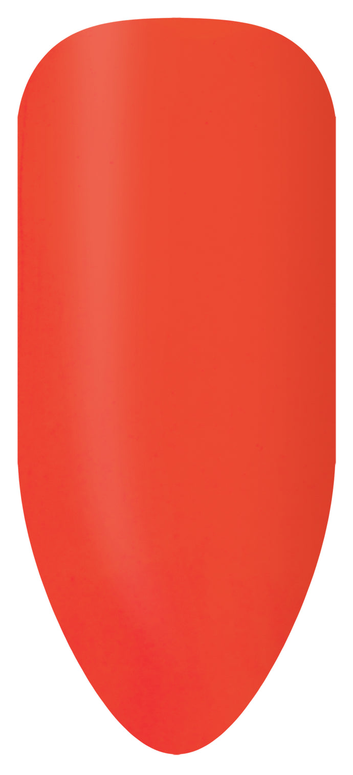 Ensemble de bâtonnets de couleur Bio Sculpture