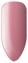 Load image into Gallery viewer, 124 Colour Gel Karin