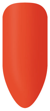 Ensemble de bâtonnets de couleur Bio Sculpture