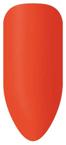 Ensemble de bâtonnets de couleur Bio Sculpture