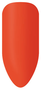 Ensemble de bâtonnets de couleur Bio Sculpture