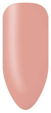 Ensemble de bâtonnets de couleur Bio Sculpture
