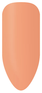 Ensemble de bâtonnets de couleur Bio Sculpture