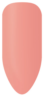 Ensemble de bâtonnets de couleur Bio Sculpture