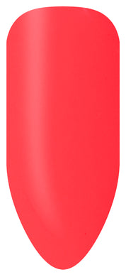 Ensemble de bâtonnets de couleur Bio Sculpture