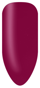 275 Prancing Protea Colourstix