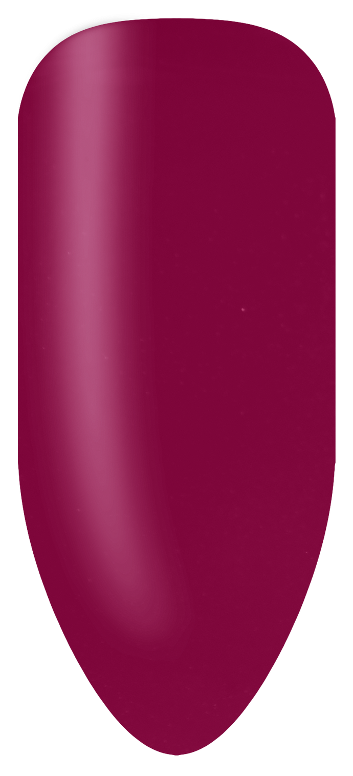 275 Prancing Protea Colourstix