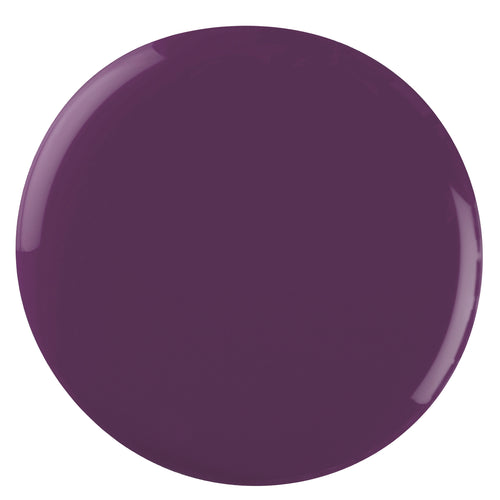 336 Amethyst Veil