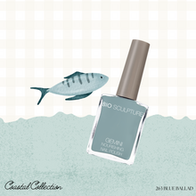 Load image into Gallery viewer, Coastal Collection