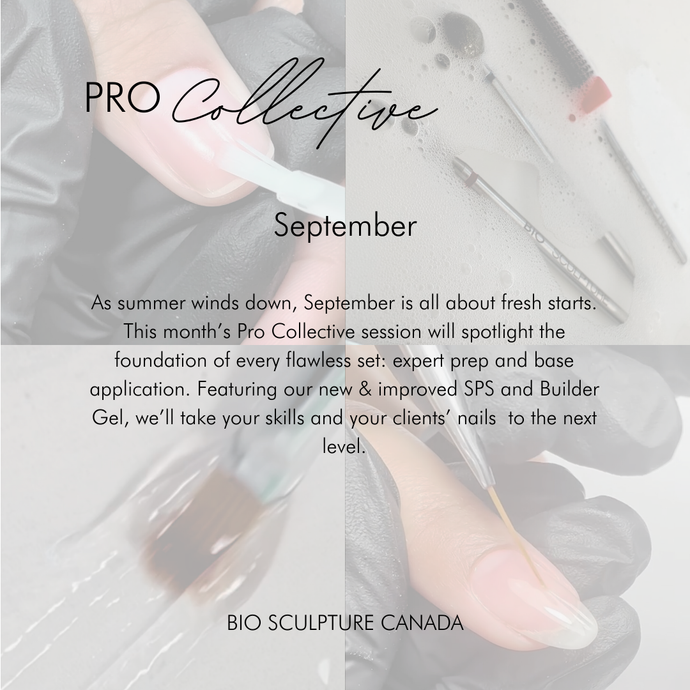 Pro Collective Series: Expert Prep