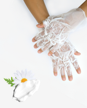 Load image into Gallery viewer, AVRY Lavender Gloves