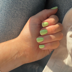 Sorbet Summer Collection