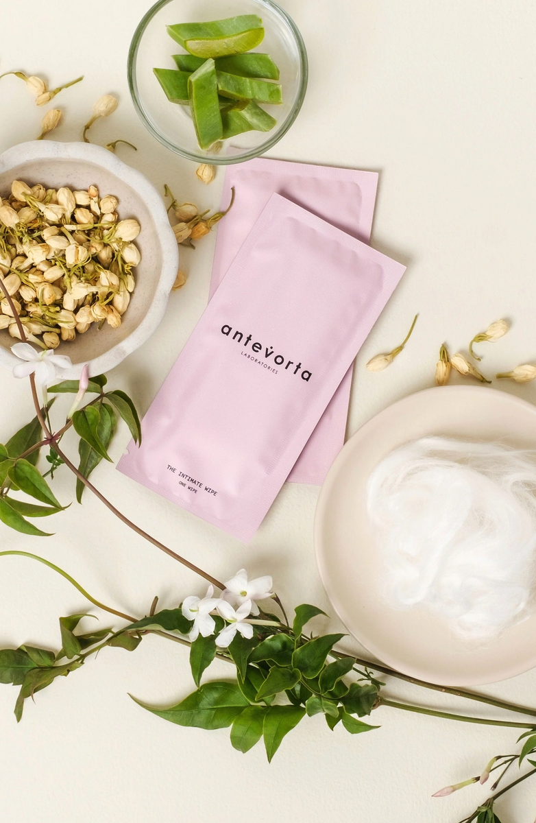 The Intimate Wipe Retail 12-Pack – Bio Sculpture Canada