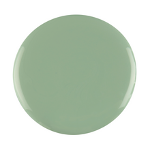 Load image into Gallery viewer, 100  Pistachio  4.5G
DESCRIPTION

Light pastel green
Colour Catalogue 
 Product Guide 

Please refer to your colour sticks for the closest reflection of colour. 
Ingredient Listing &amp;amp