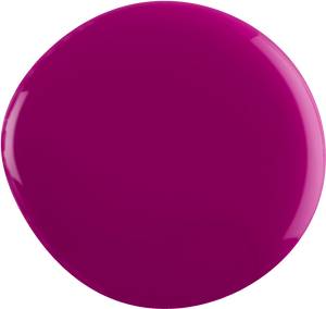 Evo Couleur Punam