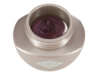 NON. 2031 Aubergine Noire 10g