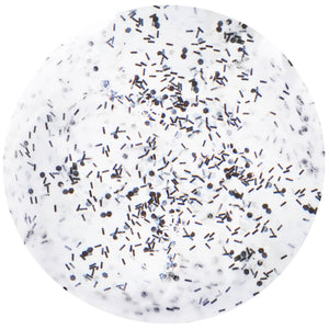 Gemini 14ml Nourishing Polish No. 227 Snowflake Frosting
DESCRIPTION
White infused with black flawless flakes
Blanc avec infusion de flocon noir
Colour Catalogue Catalogue de Couleur

Please refer to your colour sticks fo