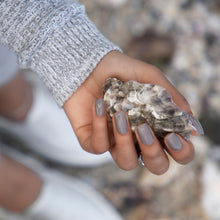 Load image into Gallery viewer, NO. 294 Oyster Shell 4.5g