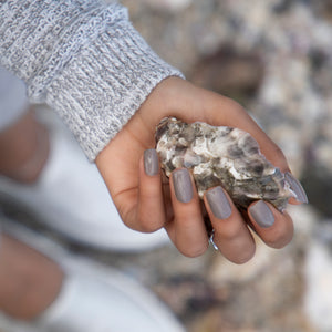 NO. 294 Oyster Shell 4.5g