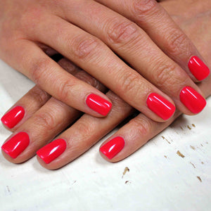 NO. 95  Spring Splash  4.5G
DESCRIPTION

Bright orange coral
Orange Corail Brillant

Colour Catalogue Catalogue de Couleur Product Guide 

Please refer to your colour sticks for the closest re