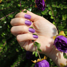 Charger l&#39;image dans la galerie, Evo Colour Asenath

DESCRIPTION 
Unique and passionate glittery dark violet
Violet profond avec paillette

Colour Catalogue Catalogue de CouleurProduct Guide 

Please refer to your co