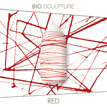 Charger l&#39;image dans la galerie, Red Threading Gel 4.5G
DESCRIPTION

Bio Threading Gels are available in 6 different colours. These gels have a high viscosity with  threading properties
Les Gels Threading Bio Sculpture s