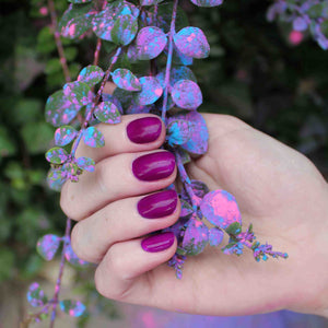 Evo Colour Diana
DESCRIPTION
Ultimate deep fluorescent violet
Violet profond Fluorescent

Colour Catalogue Catalogue de CouleurProduct Guide 

Please refer to your colour sticks for